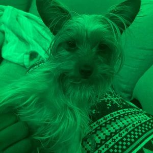 Meet your Posher, Kim